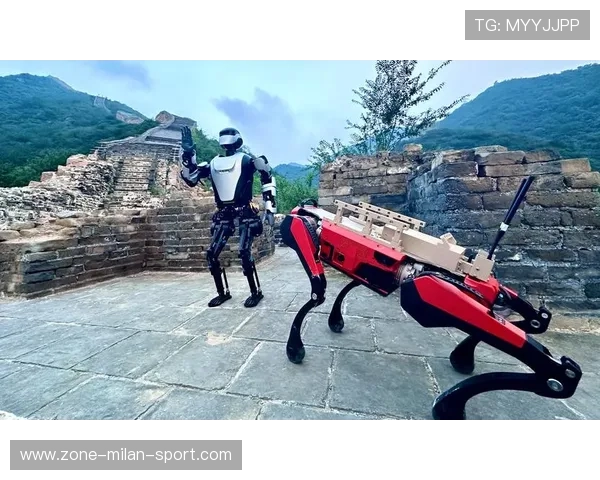 “秒投规则++：科技支撑下的极限速度战术引领未来”，秒投教学